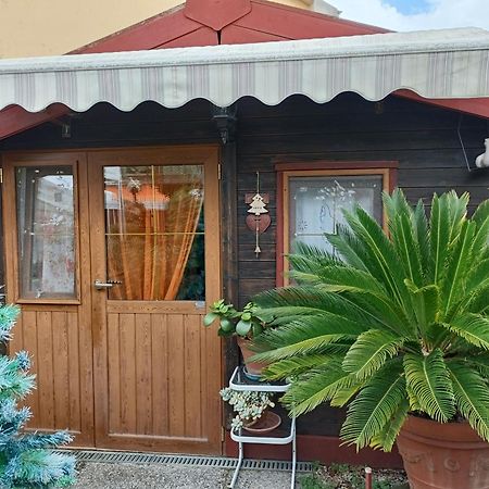 Nonna Lori'S Chalet Pisa Zona Stazione E Aeroporto מראה חיצוני תמונה